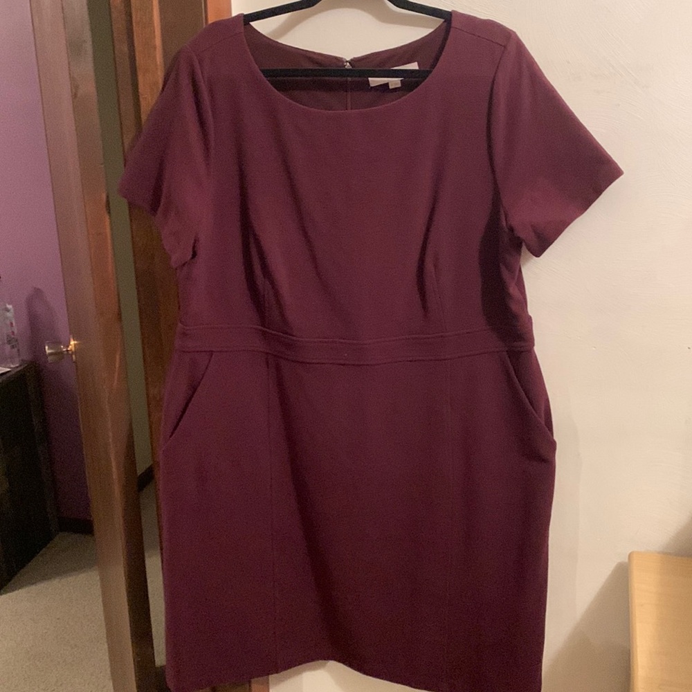 Loft dress. Wine color.